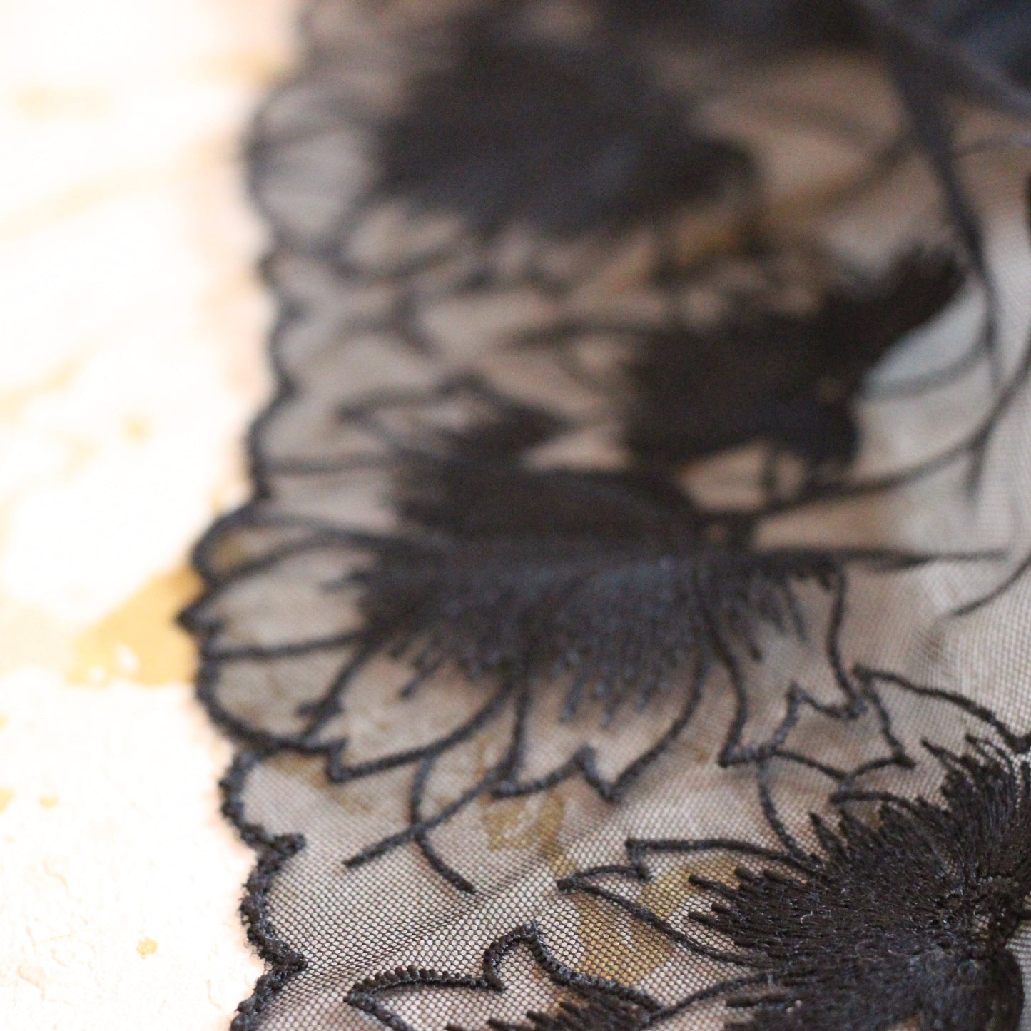 Black Bra Lace